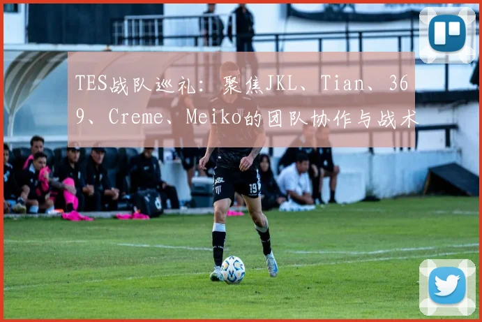TES战队巡礼:聚焦JKL、Tian、369、Creme、Meiko的团队协作与战术体系