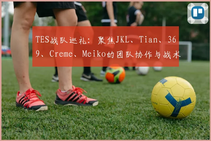 TES战队巡礼：聚焦JKL、Tian、369、Creme、Meiko的团队协作与战术体系